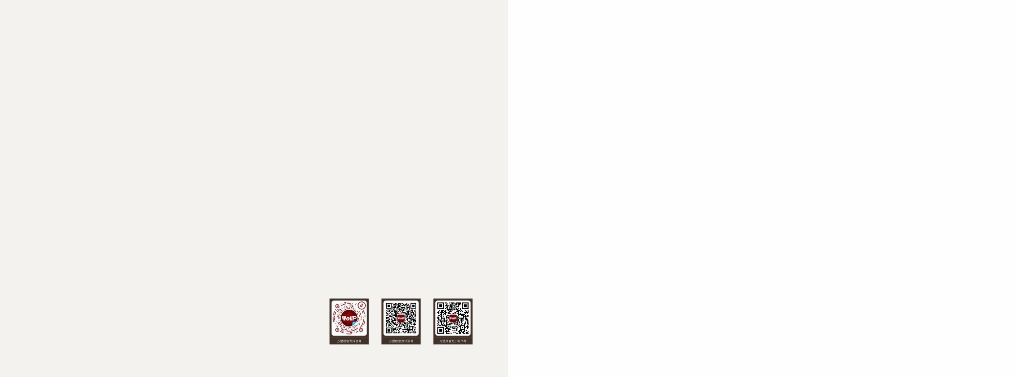 万塑成 WellP 产品手册第30页